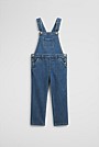 Denim Overall