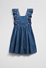 Cotton Chambray Frill Embroidered Dress