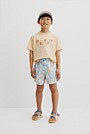 Beach Days Board Short
