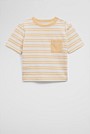 Organically Grown Cotton Stripe Pocket T-Shirt