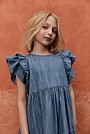 Chambray Frill Dress