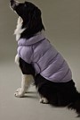 Recycled Nylon Balto Pet Puffer