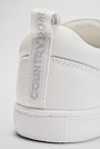 Lace Up Sneaker