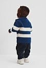 Organically Grown Cotton Blend Stripe Zip Knit