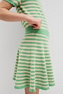 Stripe Knit Skirt