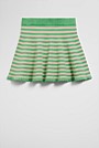 Stripe Knit Skirt