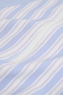 Stripe Frill Swimsuit