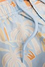 Beach Days Board Short