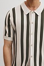 Organically Grown Cotton Stripe Knit Shirt