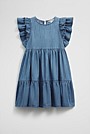 Chambray Frill Dress