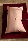 Dita Organically Grown Cotton Standard Pillowcase Pair