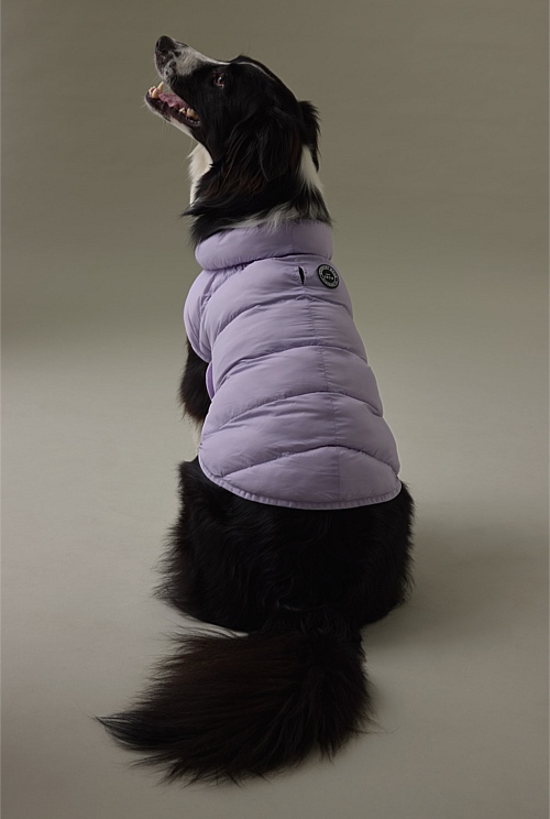 Icing Recycled Nylon Balto Pet Puffer Pet Accessories Outlet