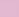 Pink Peony