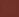 Dark Spice