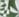 Fern Palm Geo
